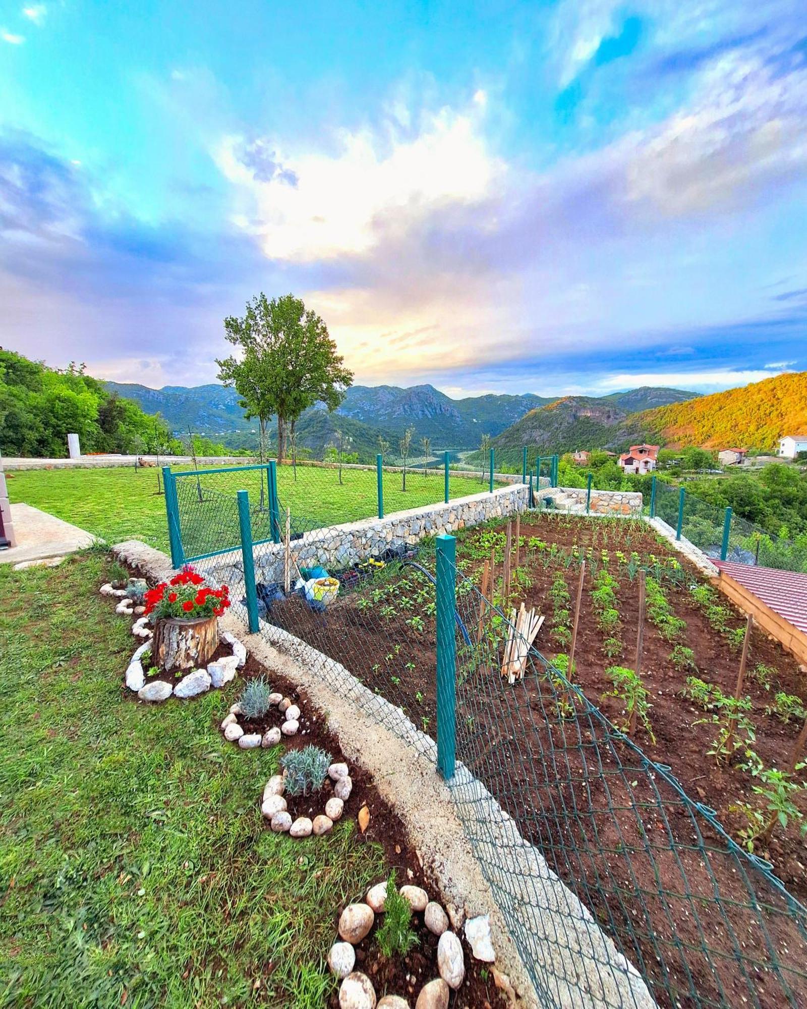 Sunny Side Apartments Rijeka Crnojevica Bagian luar foto
